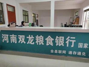 王萍 民權(quán)食品生產(chǎn)行業(yè)的女強(qiáng)人