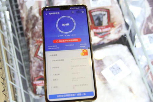 賦碼率100 浙江省進(jìn)口冷鏈?zhǔn)称肺锓拦ぷ鞫讲橹笇?dǎo)組檢查農(nóng)港城冷鏈 物防 工作