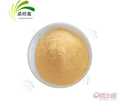 【工廠直銷柳橙果粉 速溶柳橙粉 柳橙汁粉 食品飲料原料 柳橙粉】深圳市寶安區西鄉桑珍源食品商行 - 產品庫